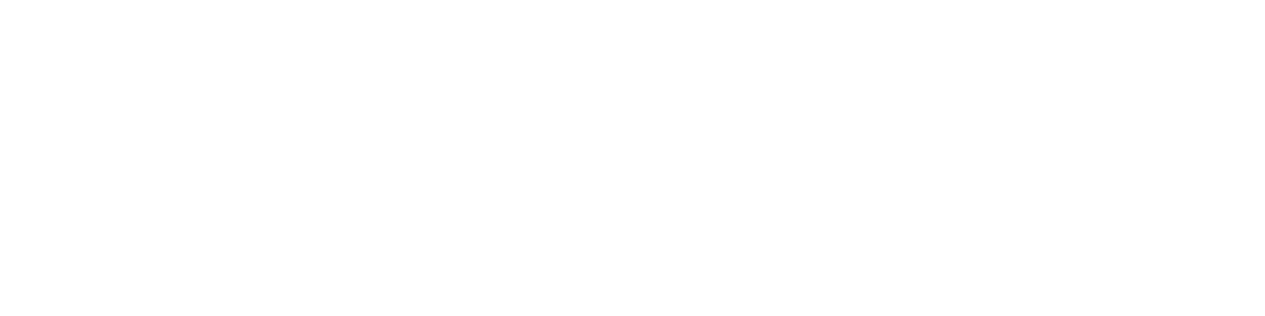 WalletStreak Logo